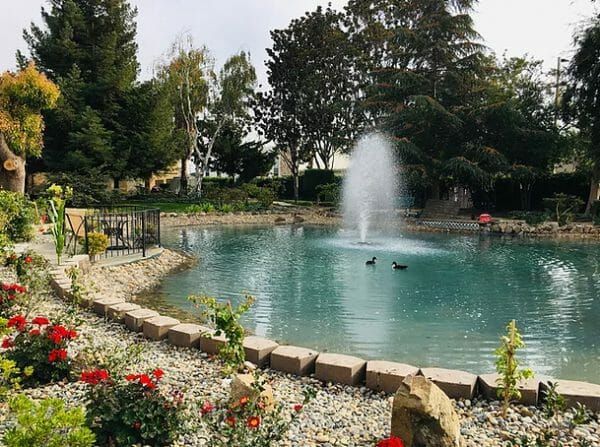 Water fountain in a pond at Villa Serena