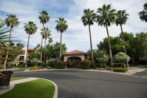 Main entrance flanked by tall palm trees at Sierra Winds