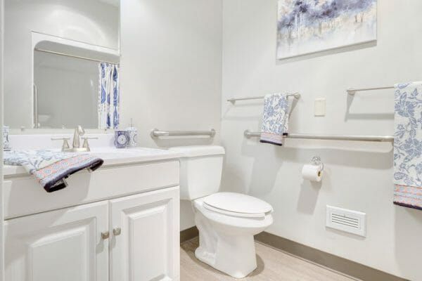 The bathroom of a model apartment at Rittenhouse Village At Northside, with safety bars near the commode, and the shower reflected in the vanity mirror