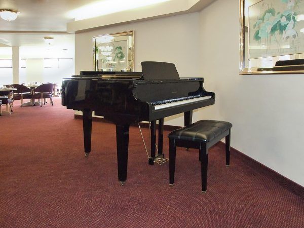 Willow Park Piano