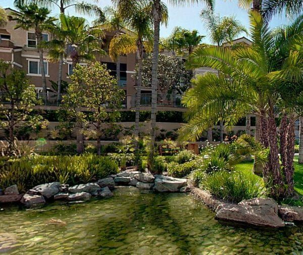 Courtyard at La Costa Glen overlooking a fish pond with palm trees and foliage at La Costa Glen