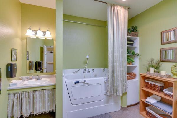 Model bathroom includes a walk-in tub, sink and mirrow to the left of the tub and storage shelves on the right of the tub at Orchard Park