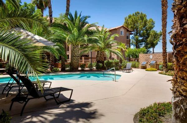 Court Senior Apartments' outdoor pool and pool deck, shaded by palm trees. Two bbq grills are off to the side