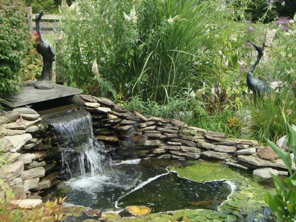 Monmouth Crossing Assisted Living's koi pond and waterfall feature